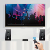 Control Remoto IR de 25 Teclas OEM/ODM, Color Personalizado, 195 mm, 45 g, para Proyector/TV/STB, Disponible para Pedidos al por Mayor