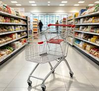 Chariot de courses en métal argenté pour supermarché avec structure en maille, roues en PU de 4 pouces anti-rouille, design pliable et utilisation en intérieur