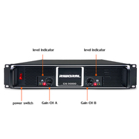 CS3000 1100W * 2 kanal sınıfı TD güç alıcısı amplifikatör ev Stereo güç amplifikatörü profesyonel