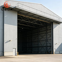 Estructura de Acero Prefabricada de Bajo Costo para Hangares de Aviones, Almacén de Gran Espacio para Almacenamiento de Aviones, para Construcción de Aeropuertos