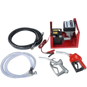 auto fuel dispenser 12V auto nozzle 24V electric meter pump oil transfer pump with Easy to operate