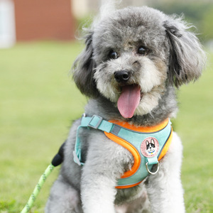 Nuevo arnés para mascotas, arnés para perros tipo chaleco, correa para perros pequeños al por mayor, correa reflectante para perros. - Product Image 4