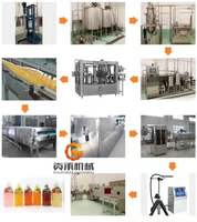 Automatische Appelsap Verwerkingslijn, Passie Sinaasappel Guave Sap Ontluchtingsmachine, Geconcentreerde Mangosap Pulp Maken Machine