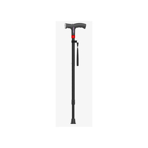 Bâton de randonnée intelligent OEM en alliage d'aluminium télescopique avec lumière et musique pour la randonnée et le camping en plein air - Product Image 1