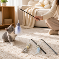 Famipet Fabricant – Nouveau design personnalisé – Jouet interactif amusant pour chaton – Bâtonnet de chat avec herbe à chat