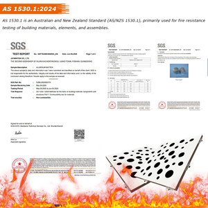 610x610 thiết kế hiện đại nghệ thuật ngoài trời chống cháy laser cắt đục lỗ dải kim loại nội bộ tấm Trần - Product Image 2