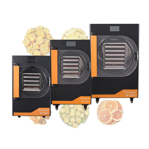 Équipement de lyophilisation à basse température, machine de lyophilisation sous vide, petite taille, pour fruits, viande, légumes - Product Image 2