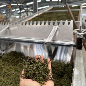 Máquina <span class=keywords><strong>de</strong></span> secado <span class=keywords><strong>de</strong></span> cardamomo Máquina deshidratadora <span class=keywords><strong>de</strong></span> granos <span class=keywords><strong>de</strong></span> café industrial Salida <span class=keywords><strong>DE</strong></span> FÁBRICA <span class=keywords><strong>DE</strong></span> China - Product Image 5