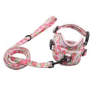 Conjunto de arnés y correa para perro con estampado Floral de lujo, chaleco de poliéster a la moda para Teddy Bichon, equipo para caminar al aire libre, conjunto al por mayor - Product Image 5