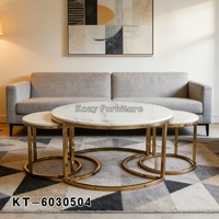 Ensemble de tables basses modernes de luxe nordique, cadre en acier inoxydable, plateau en marbre, 3 pièces, tables basses gigognes pour salon