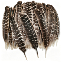 Plumes de queue de dinde sauvage rayées brun naturel pour la confection de coiffes, la pêche à la mouche, les costumes de carnaval, les loisirs créatifs et la décoration.