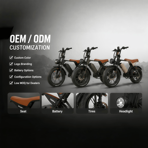 Vélo de montagne électrique tout suspendu 750W, pneus larges 20*4, cadre en acier carbone, moteur central, E-MTB, personnalisation OEM, vente en gros - Product Image 5