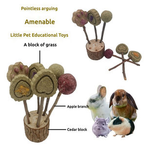 Jouets à mâcher de dentition en bois massif naturel en gros d'usine pour Hamster - Product Image 4