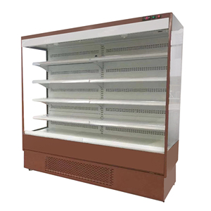 <span class=keywords><strong>Bazar</strong></span> <span class=keywords><strong>chinois</strong></span> Affichage de congélateur vertical commercial à température unique Étagères à froid en plastique pour congélateurs - Product Image 5
