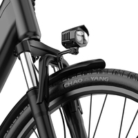 Vélo électrique en acier au carbone avec moteur sans balais 250W, couple de 70Nm, batterie amovible 36V 13Ah, autonomie de 40KM, 3 modes de conduite, 7 vitesses, double