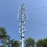 Menara tiang tugas berat galvanis laris 40m tinggi 50 tahun Q235-Q460 baja karbon kehidupan poligonal/keruncut telekomunikasi