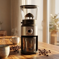 Moulin à café électrique professionnel 160W - 30 réglages de mouture précis - Grande capacité 300g - Acier inoxydable - Usage domestique