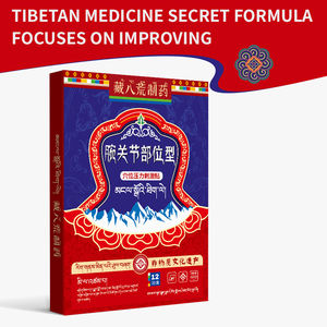 Meilleur OEM/ODM marque privée poignet à base de plantes naturelles traditionnelles respirantes soulagement de la douleur patch médical pour douleurs musculaires et articulaires - Product Image 4