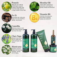 Sampo Herbal Organik Vegan Bebas Silikon Anti-Ketombe Melembapkan Mengontrol Minyak Memperbaiki Kulit Kepala Mengurangi Kerusakan Rambut Memperbaiki Rambut