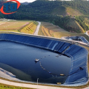 Géomembrane pour revêtement de bassin de réservoir, revêtement de bassin à poissons, revêtement HDPE 25mil 45mil 60mil, revêtement de lagune, revêtement de barrage HDPE 0.75mm 1mm 1.5mm 2mm - Product Image 3