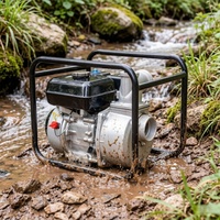 Pompe à eau basse pression à faible niveau sonore, installation facile, idéale pour l'irrigation domestique et de jardin