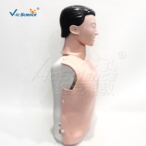 หุ่นจำลองการสอนการแพทย์ หุ่นจำลองการปฐมพยาบาล หุ่นจำลองครึ่งตัวชาย สำหรับฝึกอบรมการช่วยชีวิตด้วยการกดจุดชีพจร (CPR) - Product Image 2