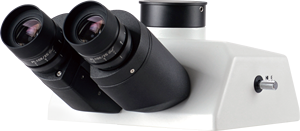 BestScope BS-2082F Microscope biologique fluorescent de haute qualité avec lampe pour la recherche - Product Image 5