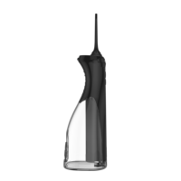 OEM NOUVEAU IPX7 Irrigateur Oral Portable Eau Dentaire Flosser Rechargeable Électrique Jet D'eau Dentaire Oral Pik Dispositif De Nettoyage Des Dents