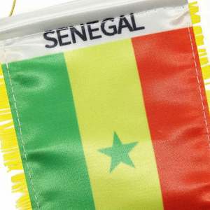 Custom SENEGAL Satin Pennant Flag Car Mini Flag <b>Banner</b> with Yellow Tassels - Product Image 4