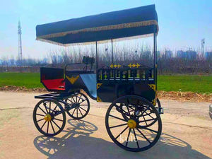 Carruaje Eléctrico Histórico de Lujo para Bodas, Modelo Victoria, en Venta - Product Image 4