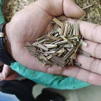 Yulin City Factory Vanille Acheteurs Graines À Vendre Vanille Herbe Herbe Pour Une Utilisation Professionnelle De Boulangerie