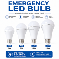 Ampoule LED rechargeable ABS+PC 7W/9W AC 5V avec télécommande pour usage résidentiel et élevage de volailles