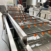 Machine industrielle commerciale ANXU 220V, neuve, pompe à engrenages pour épluchage et lavage, haute efficacité, pour pommes de terre, curcuma, gingembre, fruits