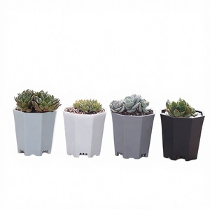 Macetas Minimalistas de Plástico PP Duradero para Uso en Interiores, de 7*7.2cm, Capacidad de 1-3L, Venta al Por Mayor, Sin Recubrimiento, Directo de Fábrica ZF - Product Image 3