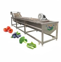 Fabrieks prijs hoge kwaliteit industriële automatische blancheringsmachine voor voedsel, groenten en fruit