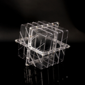 Bán buôn Chất lượng cao nông nghiệp dưa chuột dưa hấu Apple trái tim vuông shapee trái cây hình dạng khuôn mẫu - Product Image 1