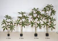 Y016 Plante artificielle décorative italienne, type Arbre de sang de dragon, résistante aux UV, verte, Bonsaï durable à base d'eau, toucher réaliste