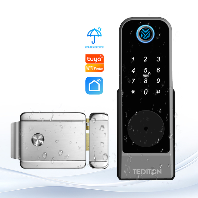 Tediton Stainless Steel Intelligent Gate Fingerprint Door Lock Ai Smart Electric Rim Lock With Wifi Tuya App