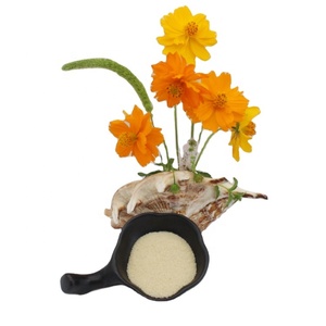 Gélatine Halal Pure Épaississante et Stabilisante pour Saucisses, Améliorant la Cohérence et la Texture, 120-300 Bloom - Product Image 3