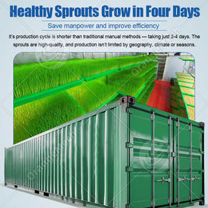 Máquina Automática para Germinar Trigo y Cebada ORME, Máquina Eléctrica para Hacer Germinados Frescos de Frijoles y Cacahuetes - Product Image 3