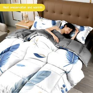 Ensemble de literie 3 pièces en microfibre de qualité supérieure, imprimé plumes, respirant, doux pour la peau, toutes saisons, couette et taies d'oreiller chaudes et lavables - Product Image 2