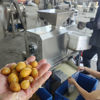 Industriële olijvenontpitter, -knijper en -extractor, enkelvoudige verwerking voor fruitpuree, capaciteit 20kg/u, 220V