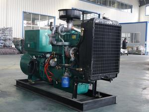 50kVA الطاقة مولد 50kva الديزل محرك 40kw الديزل السلطة بواسطة ريكاردو المحرك - Product Image 6