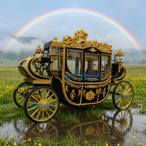 Calèche royale noire de haute qualité à vendre, calèche royale pour transport spécial, fournisseurs chinois de calèches - Product Image 1