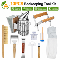 Kit d'outils d'apiculture de qualité supérieure, 10 pièces, en acier inoxydable, pour apiculteur professionnel, utilisation en ferme