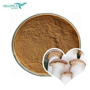 Polvo de Hongo <span class=keywords><strong>King</strong></span> Oyster de Grado Alimenticio, Envasado al Vacío, Certificado ISO9001/Halal/Kosher/GMP, en Tarro de Vidrio, Tambor o Contenedor de Plástico - Product Image 1