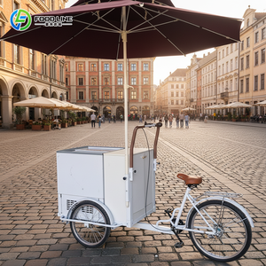 Chariot à glaces avec congélateur pour scooter électrique, chariot à glaces électrique - Product Image 1