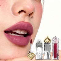 DOOUCI OEM/ODM Kosmetik Kecantikan Makeup Tahan Lama Ringan Tidak Mengeringkan Bibir Lip Mud Matte Beludru