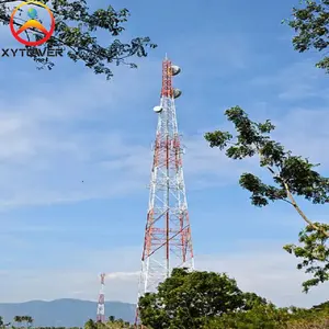 Zelfondersteunde Buisvormige Stalen Roosterantenne 5G Cellulaire Toren