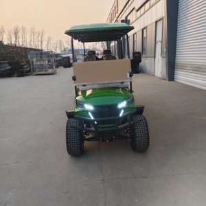 Voiturette <span class=keywords><strong>de</strong></span> golf électrique <span class=keywords><strong>de</strong></span> conception nouvelle, véhicule électrique <span class=keywords><strong>de</strong></span> <span class=keywords><strong>tourisme</strong></span>, voiturette <span class=keywords><strong>de</strong></span> golf tout-terrain 8 places pour la chasse, certifiée CE/DOT - Product Image 4